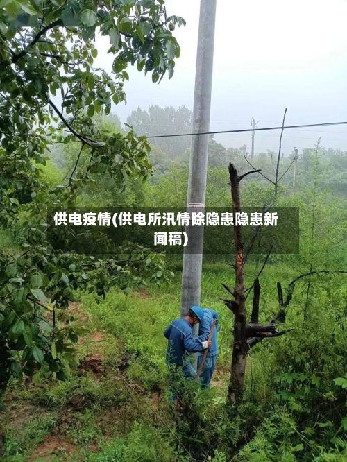 供电疫情(供电所汛情除隐患隐患新闻稿)