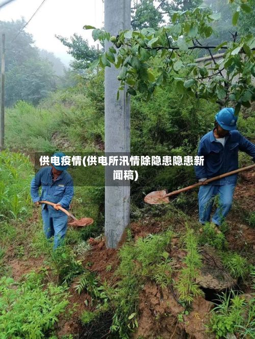 供电疫情(供电所汛情除隐患隐患新闻稿)-第3张图片
