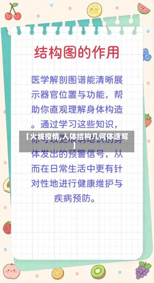 【火线疫情,人体结构几何体速写】-第3张图片