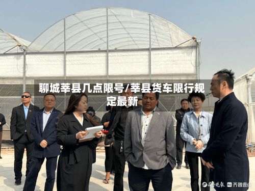 聊城莘县几点限号/莘县货车限行规定最新-第3张图片