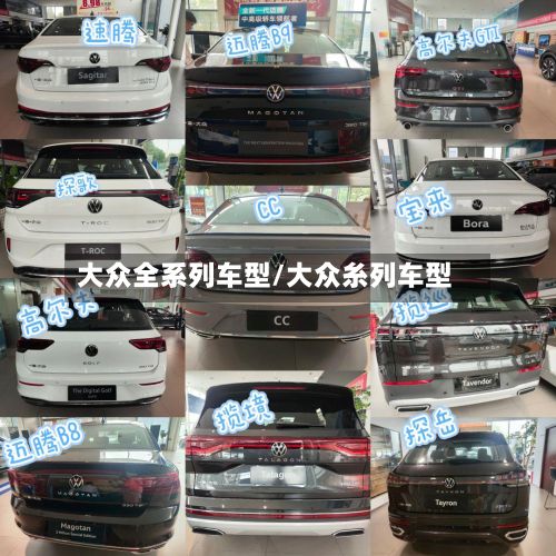大众全系列车型/大众糸列车型-第2张图片