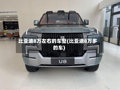 比亚迪8万左右的车型(比亚迪8万多的车)