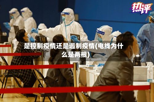 是控制疫情还是遏制疫情(电线为什么是两根)