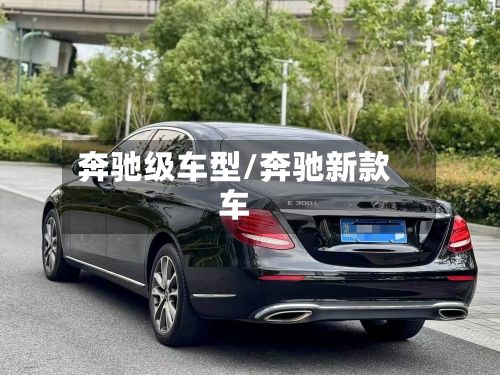 奔驰级车型/奔驰新款车