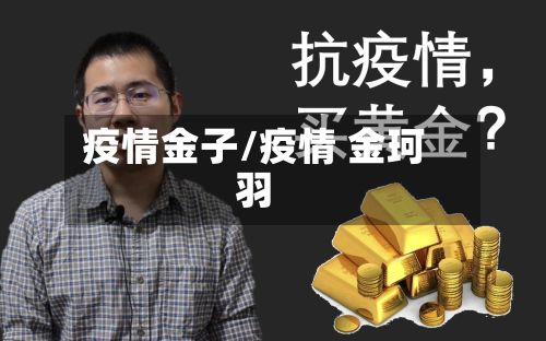疫情金子/疫情 金珂羽-第2张图片