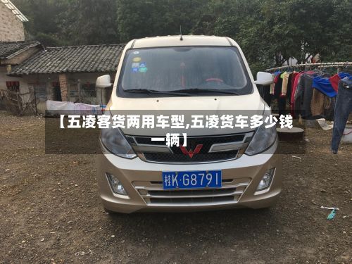 【五凌客货两用车型,五凌货车多少钱一辆】-第2张图片