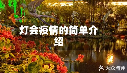 灯会疫情的简单介绍-第3张图片