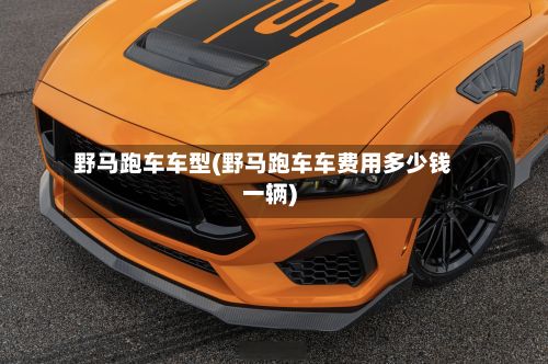 野马跑车车型(野马跑车车费用多少钱一辆)