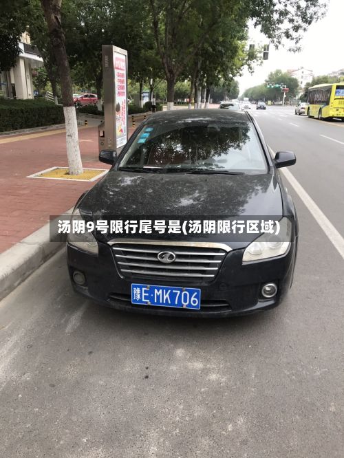 汤阴9号限行尾号是(汤阴限行区域)-第2张图片