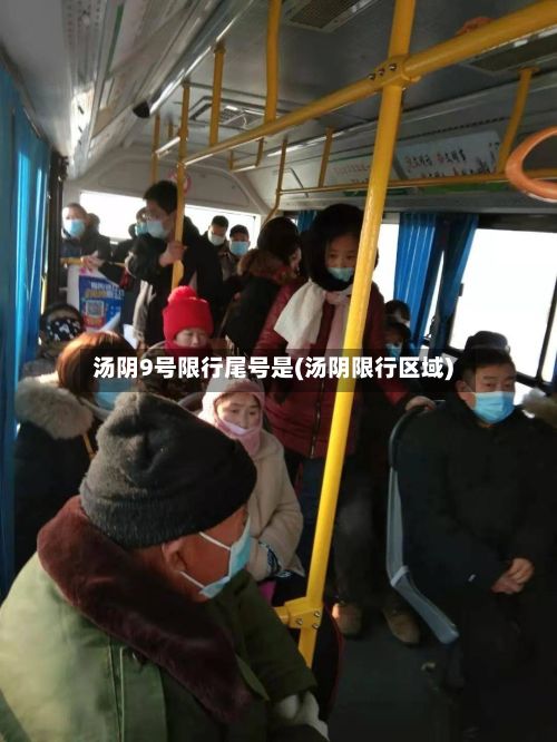 汤阴9号限行尾号是(汤阴限行区域)