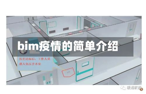 bim疫情的简单介绍
