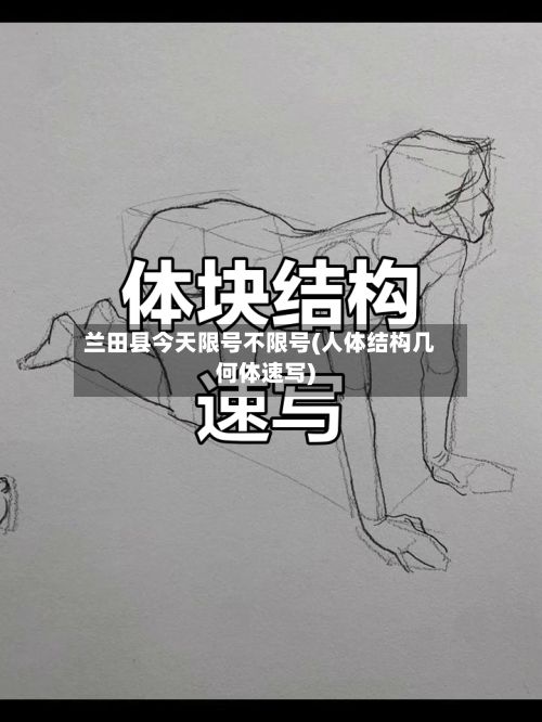 兰田县今天限号不限号(人体结构几何体速写)-第3张图片