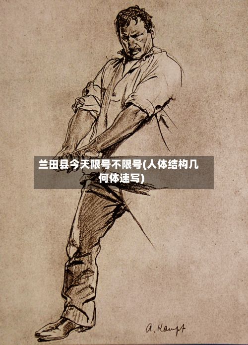 兰田县今天限号不限号(人体结构几何体速写)-第2张图片