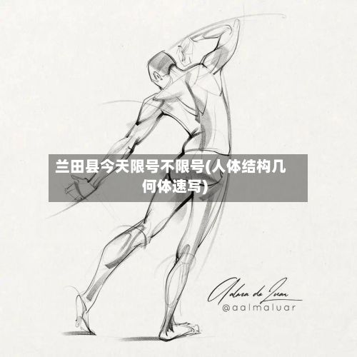 兰田县今天限号不限号(人体结构几何体速写)
