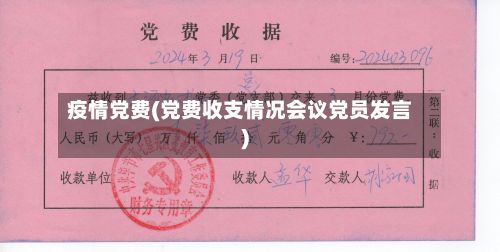 疫情党费(党费收支情况会议党员发言)