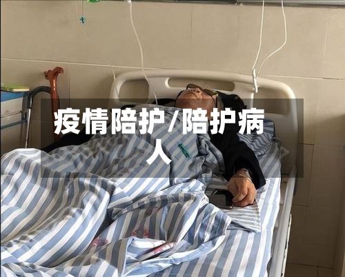 疫情陪护/陪护病人-第2张图片