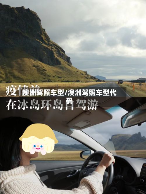 澳洲驾照车型/澳洲驾照车型代码-第2张图片