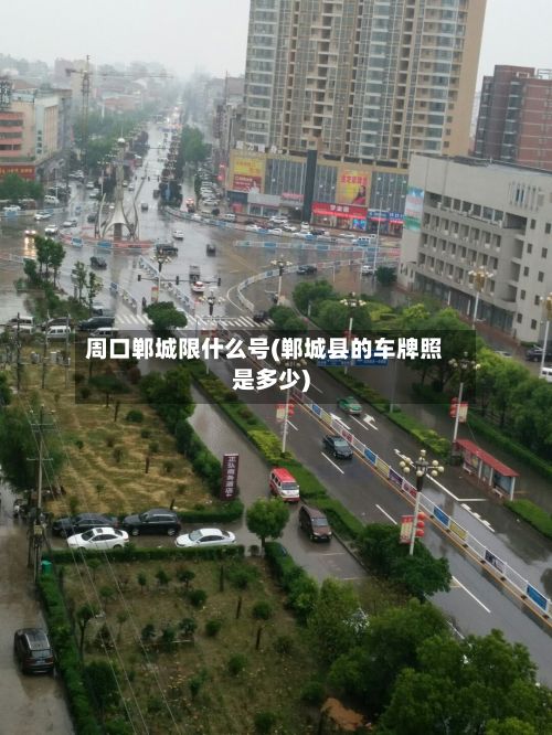 周口郸城限什么号(郸城县的车牌照是多少)-第2张图片