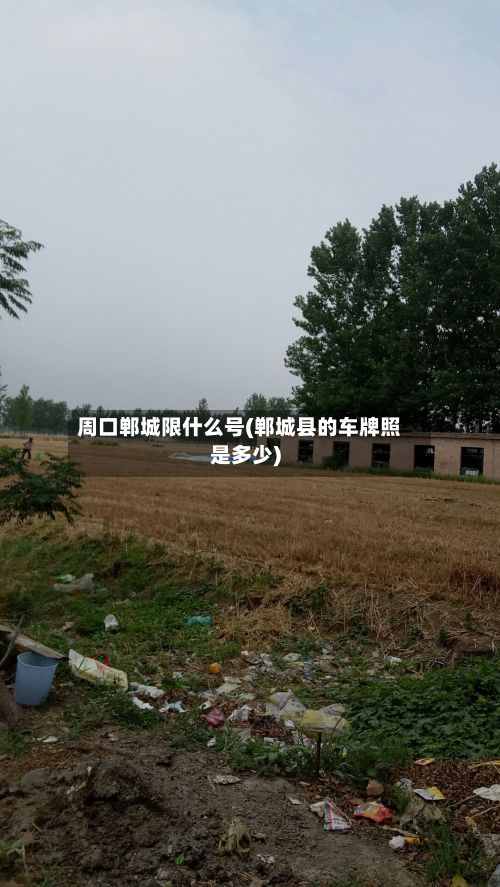 周口郸城限什么号(郸城县的车牌照是多少)-第3张图片