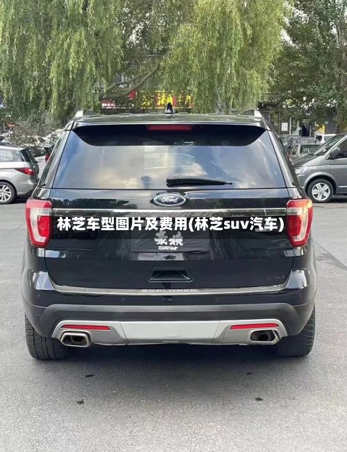 林芝车型图片及费用(林芝suv汽车)-第2张图片
