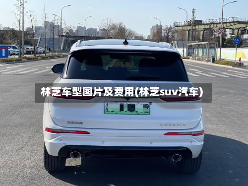 林芝车型图片及费用(林芝suv汽车)