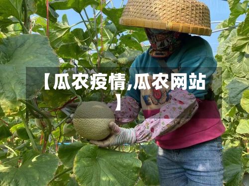 【瓜农疫情,瓜农网站】-第3张图片