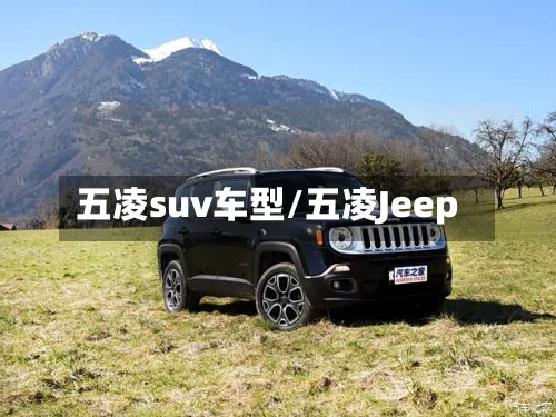 五凌suv车型/五凌Jeep