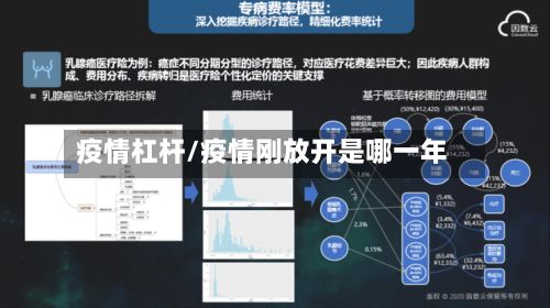 疫情杠杆/疫情刚放开是哪一年