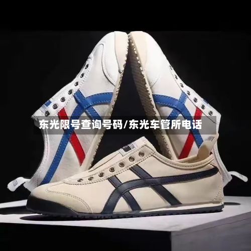 东光限号查询号码/东光车管所电话-第3张图片