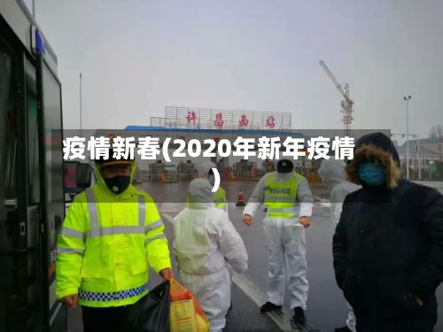 疫情新春(2020年新年疫情)