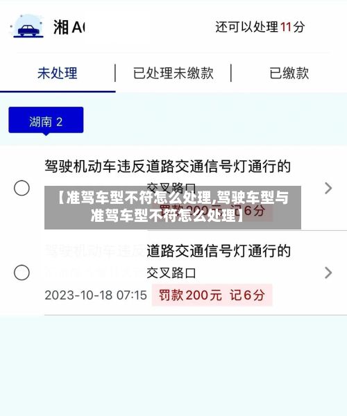【准驾车型不符怎么处理,驾驶车型与准驾车型不符怎么处理】-第3张图片