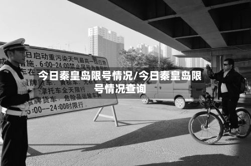 今日秦皇岛限号情况/今日秦皇岛限号情况查询-第3张图片