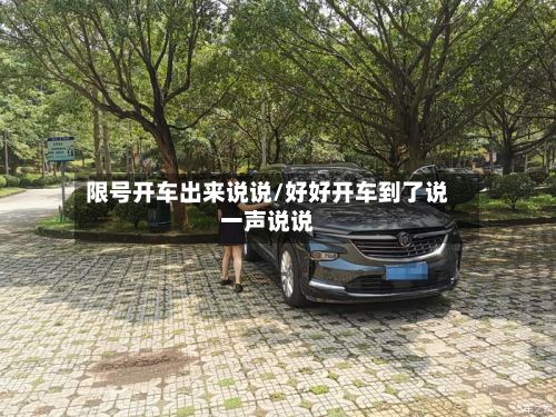 限号开车出来说说/好好开车到了说一声说说