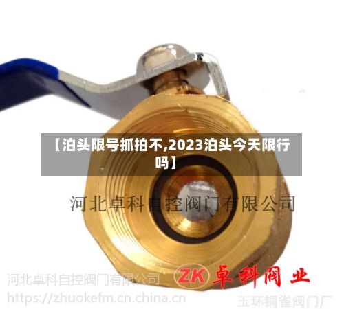 【泊头限号抓拍不,2023泊头今天限行吗】-第3张图片