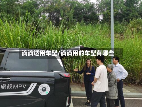 滴滴适用车型/滴滴用的车型有哪些-第2张图片
