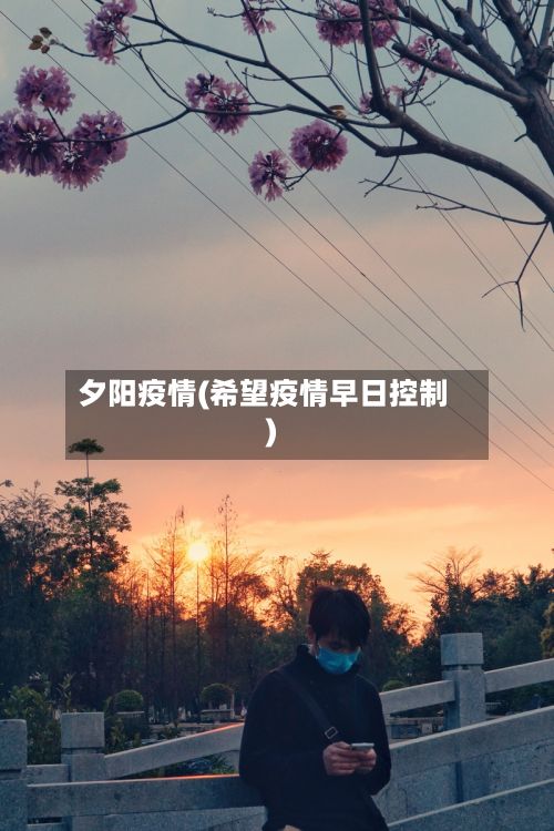 夕阳疫情(希望疫情早日控制)-第2张图片