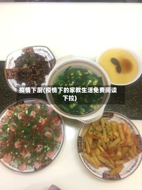 疫情下厨(疫情下的家教生活免费阅读下拉)