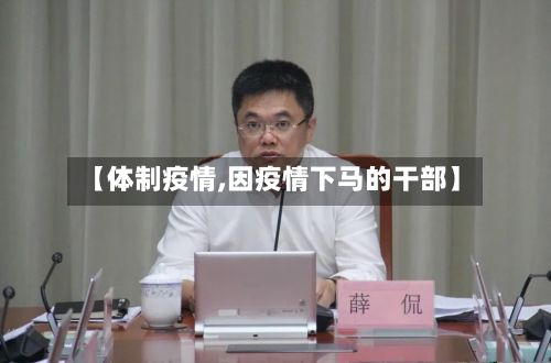 【体制疫情,因疫情下马的干部】-第2张图片