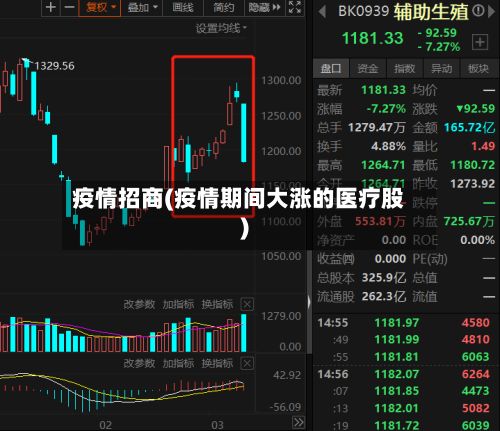 疫情招商(疫情期间大涨的医疗股)