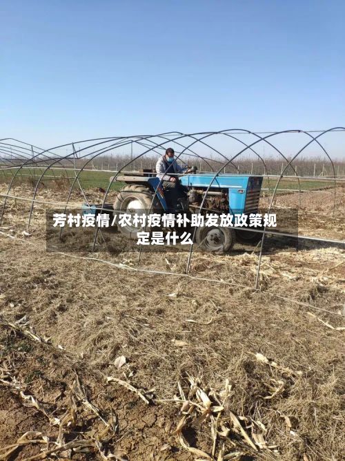 芳村疫情/农村疫情补助发放政策规定是什么