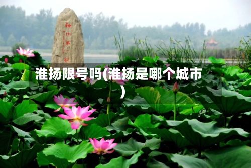 淮扬限号吗(淮扬是哪个城市)-第3张图片