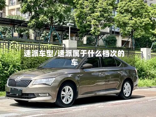 速派车型/速派属于什么档次的车-第2张图片