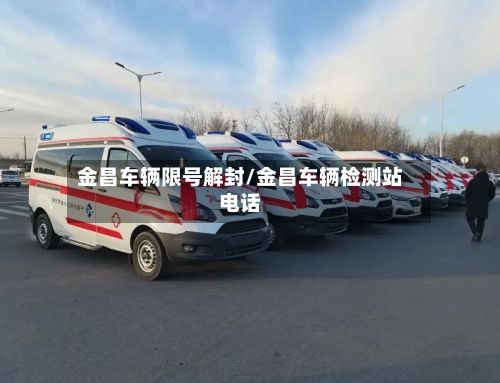 金昌车辆限号解封/金昌车辆检测站电话-第2张图片