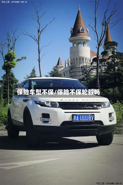 保险车型不保/保险不保轮毂吗
