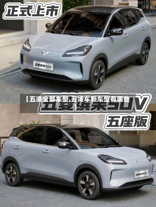 【五凌全部车型,五凌车新车型有哪些】-第2张图片