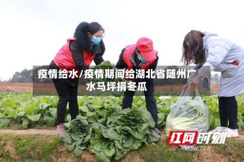 疫情给水/疫情期间给湖北省随州广水马坪捐冬瓜
