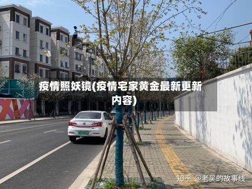 疫情照妖镜(疫情宅家黄金最新更新内容)