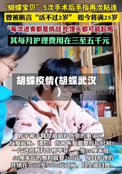 胡蝶疫情(胡蝶武汉)-第3张图片