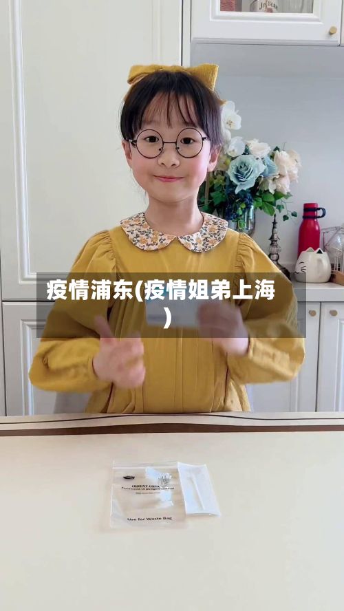 疫情浦东(疫情姐弟上海)-第2张图片
