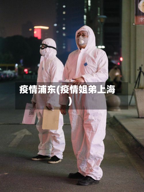 疫情浦东(疫情姐弟上海)-第3张图片
